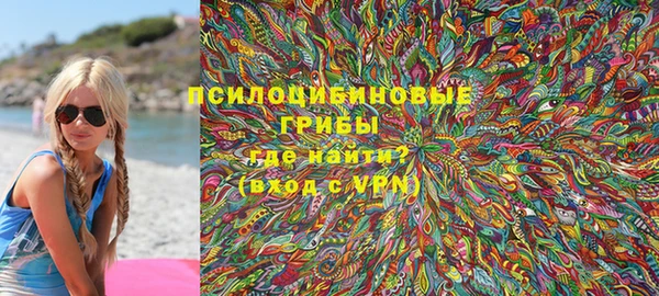 шишки Алексеевка