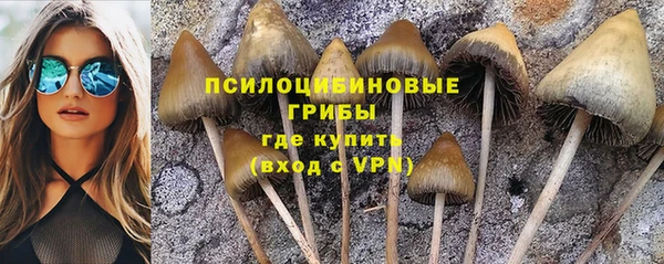 шишки Алексеевка